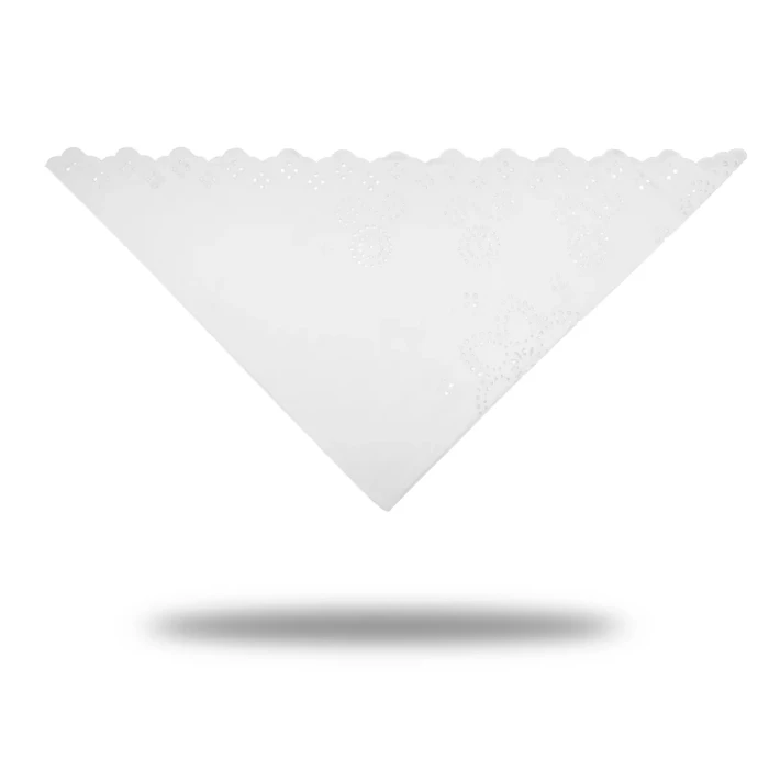 6.webp