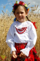 1c198bfa65c2f878c76b33200ce71436