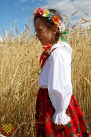 8abe7e4717c7ee8bf9c3d5ad19276178